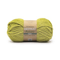 Future Inspire Yarn