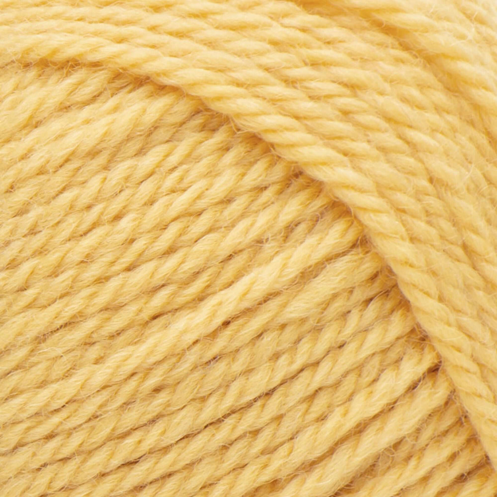 Classic Wool Worsted Yarn