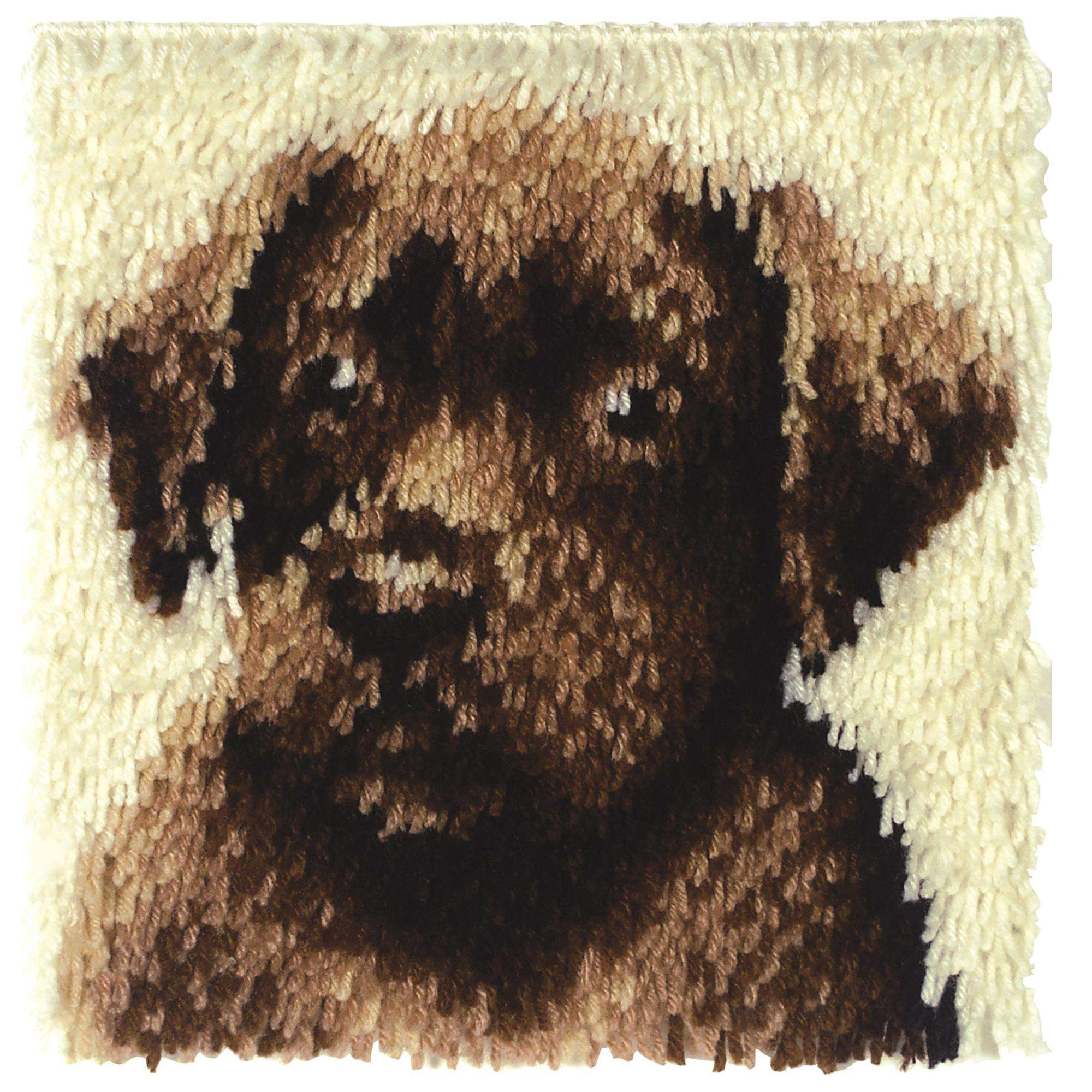 Chocolate Lab Kit 12" x 12" - Clearance Items