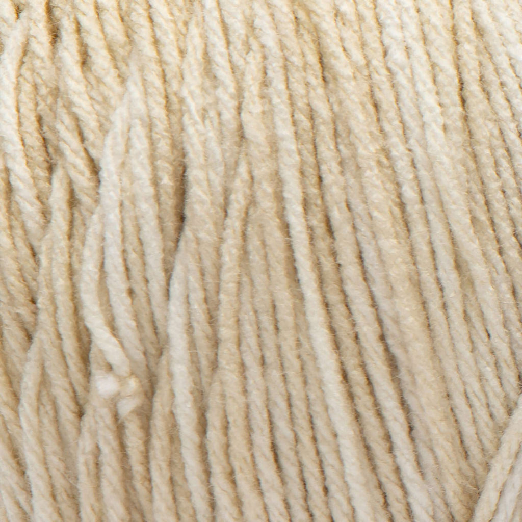 Super Saver Ombre Yarn