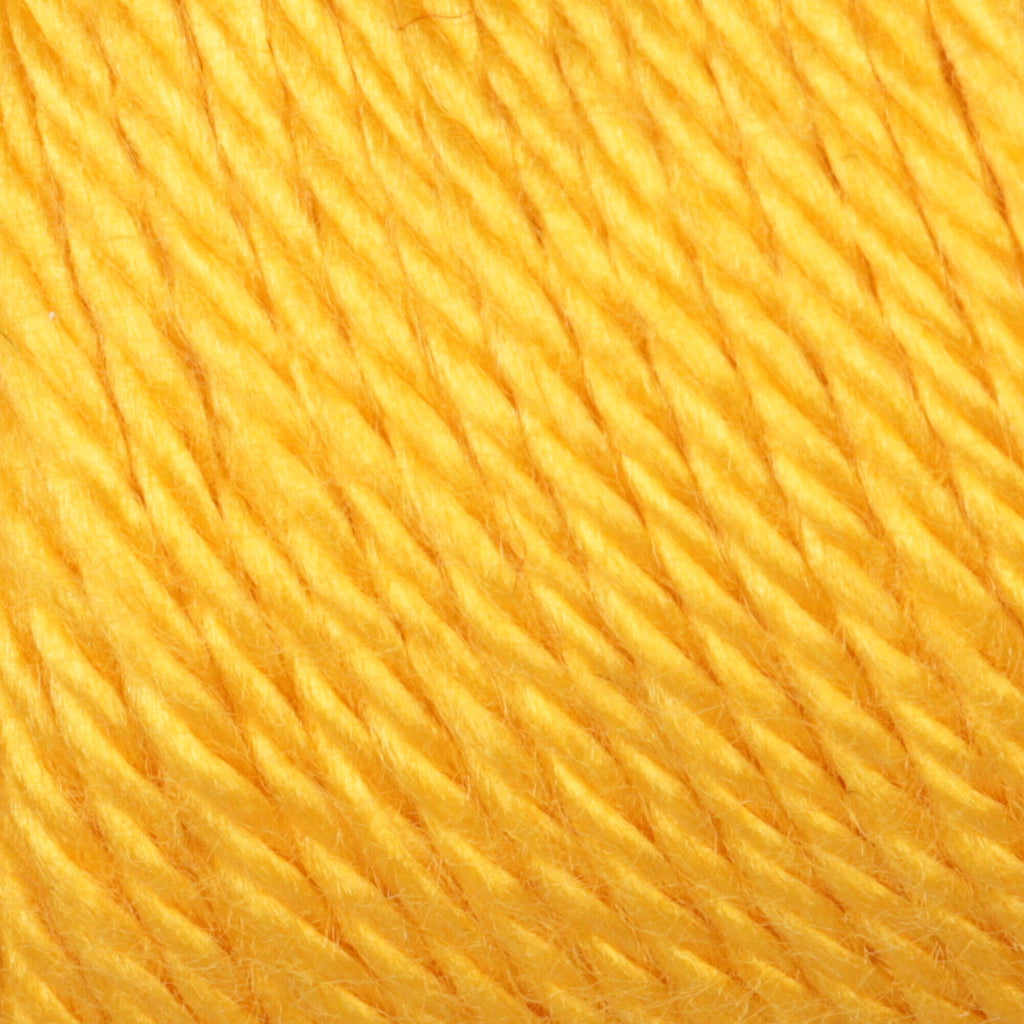 Simply Soft Yarn